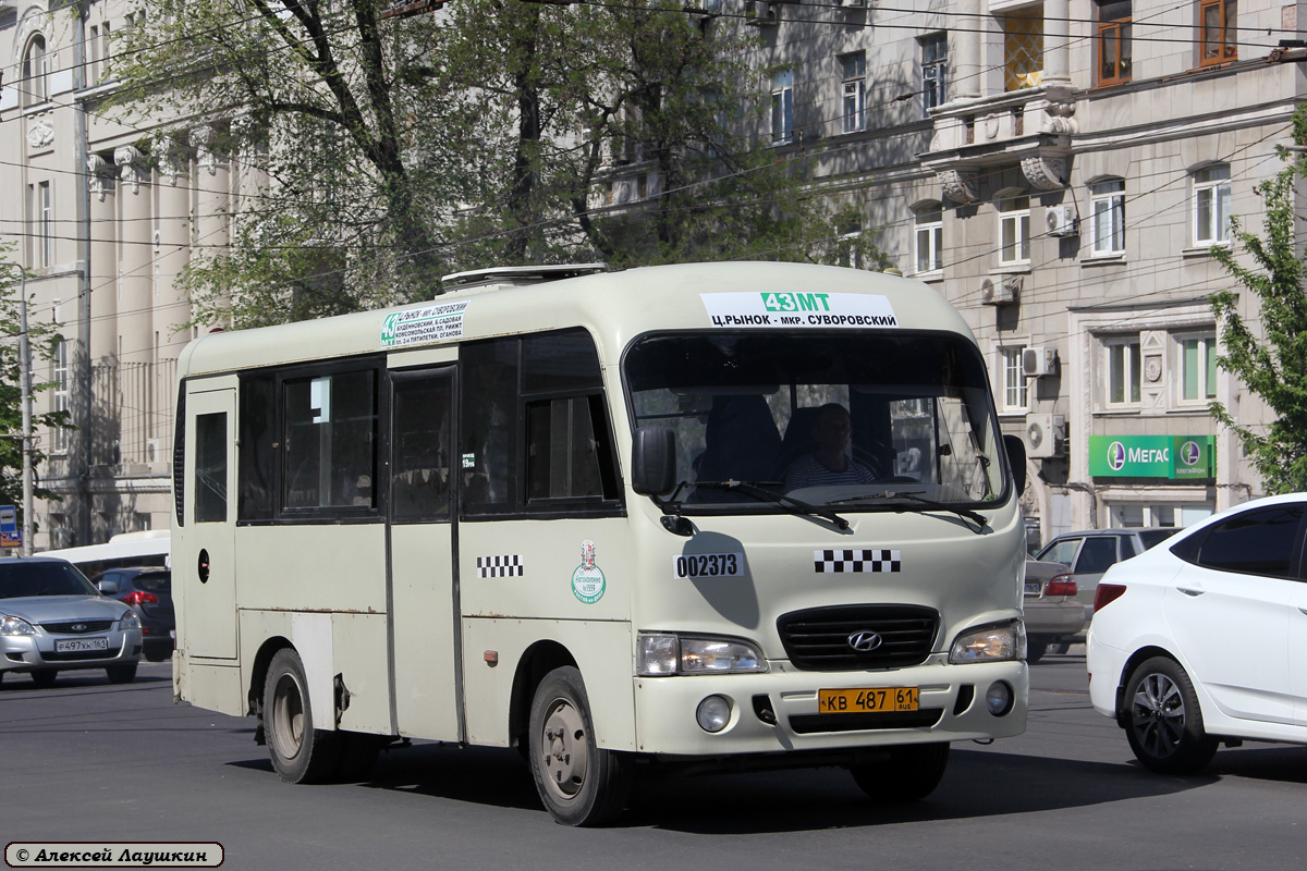 Ростовская область, Hyundai County SWB C08 (РЗГА) № 002373