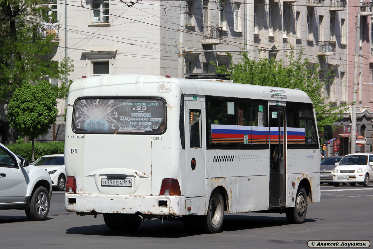 Ростовская область, Hyundai County LWB C09 (ТагАЗ) № 124