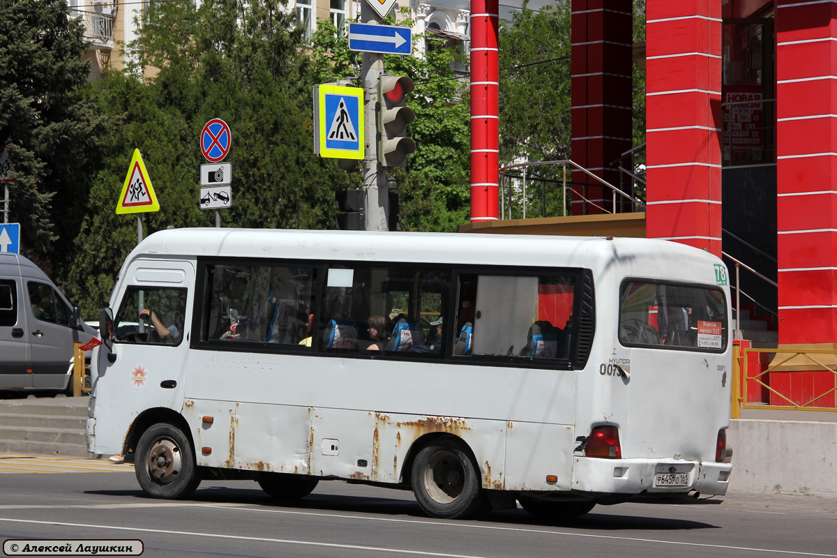 Ростовская область, Hyundai County SWB C08 (ТагАЗ) № 007308