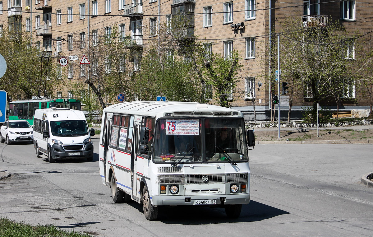 Новосибирская область, ПАЗ-4234 № С 648 ОР 154