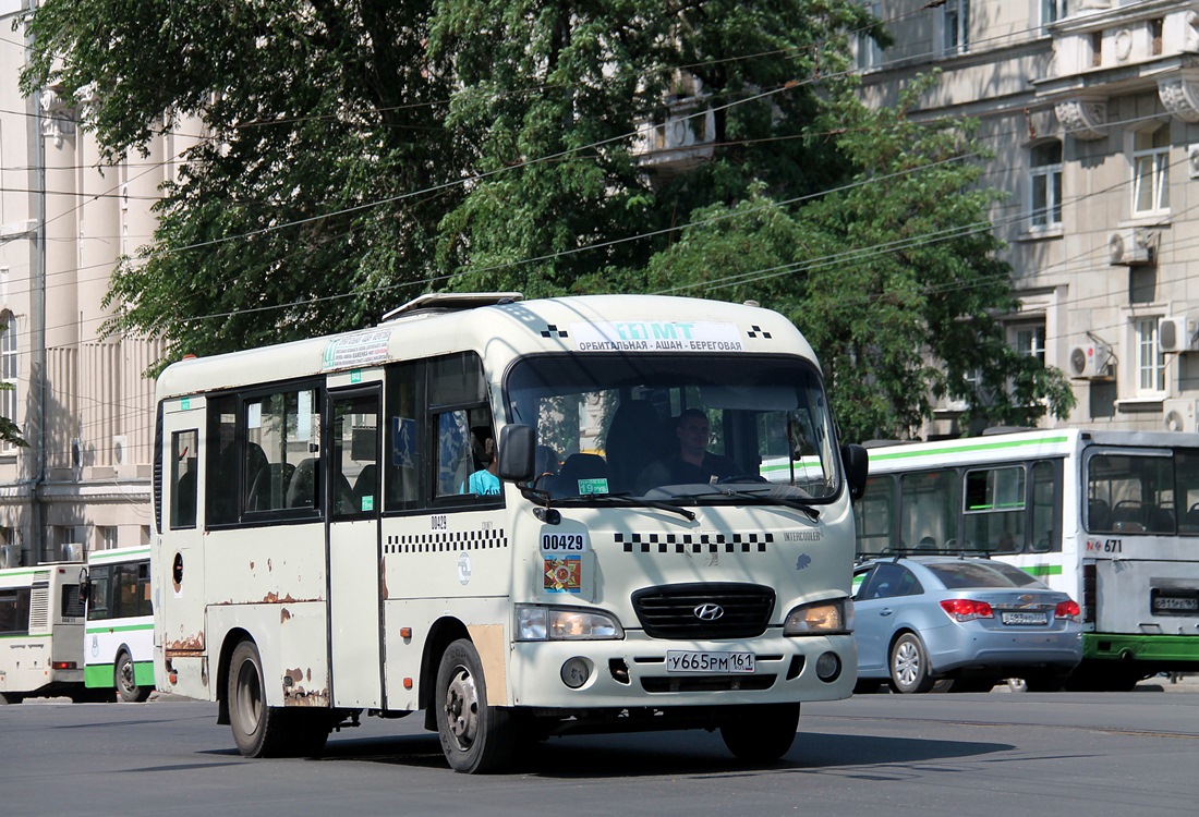 Ростовская область, Hyundai County SWB C08 (РЗГА) № 00429