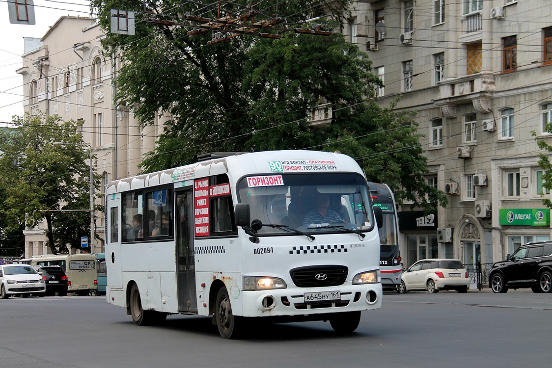 Ростовская область, Hyundai County LWB C09 (ТагАЗ) № 02094