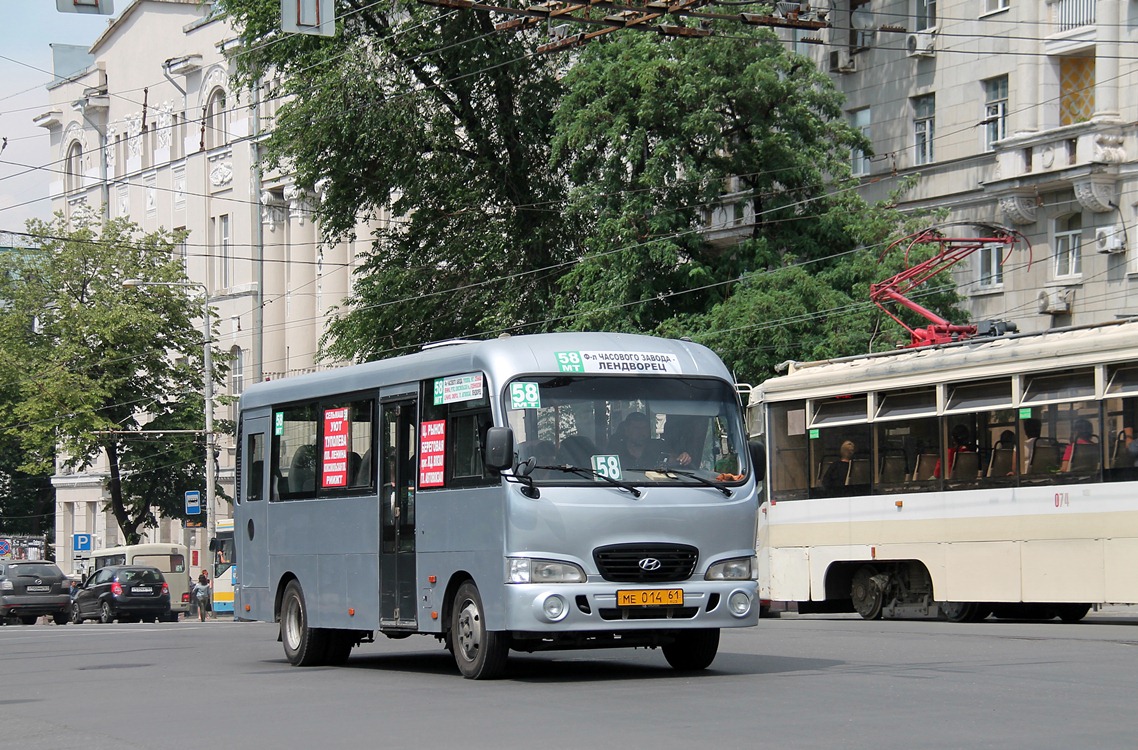 Ростовская область, Hyundai County LWB C11 (ТагАЗ) № 005