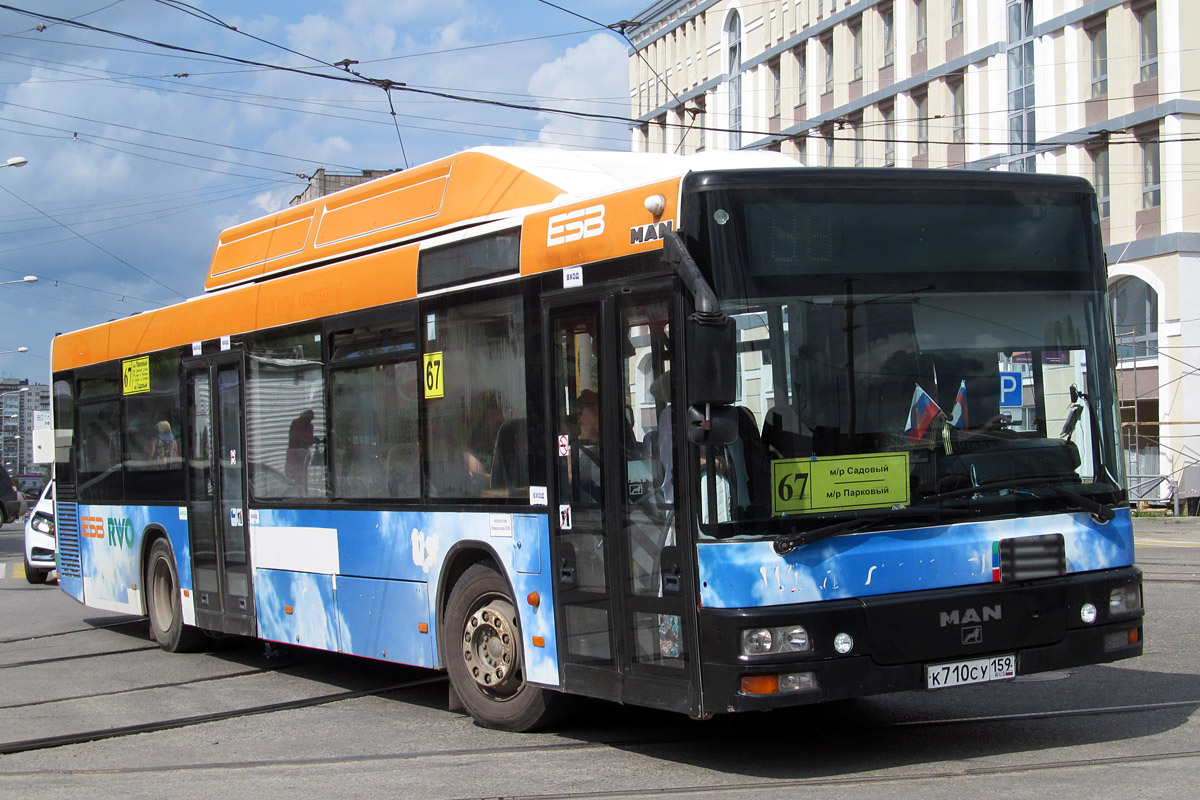 Пермский край, MAN A20 NÜ313 CNG № К 710 СУ 159