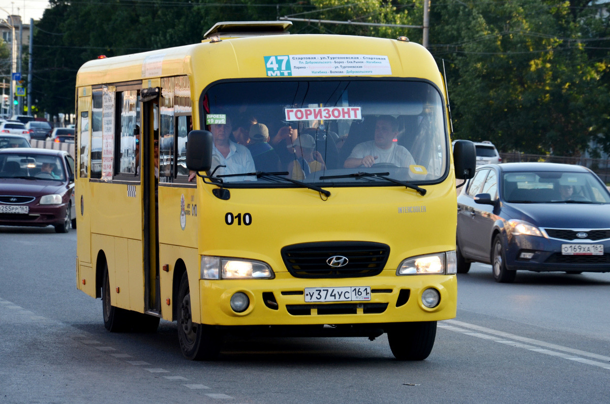 Ростовская область, Hyundai County LWB C11 (ТагАЗ) № 010