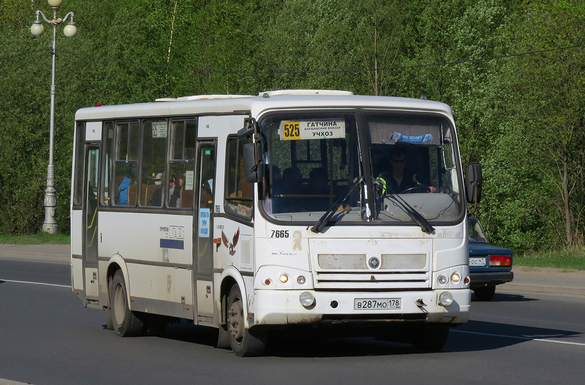 Ленинградская область, ПАЗ-320412-05 № 7665