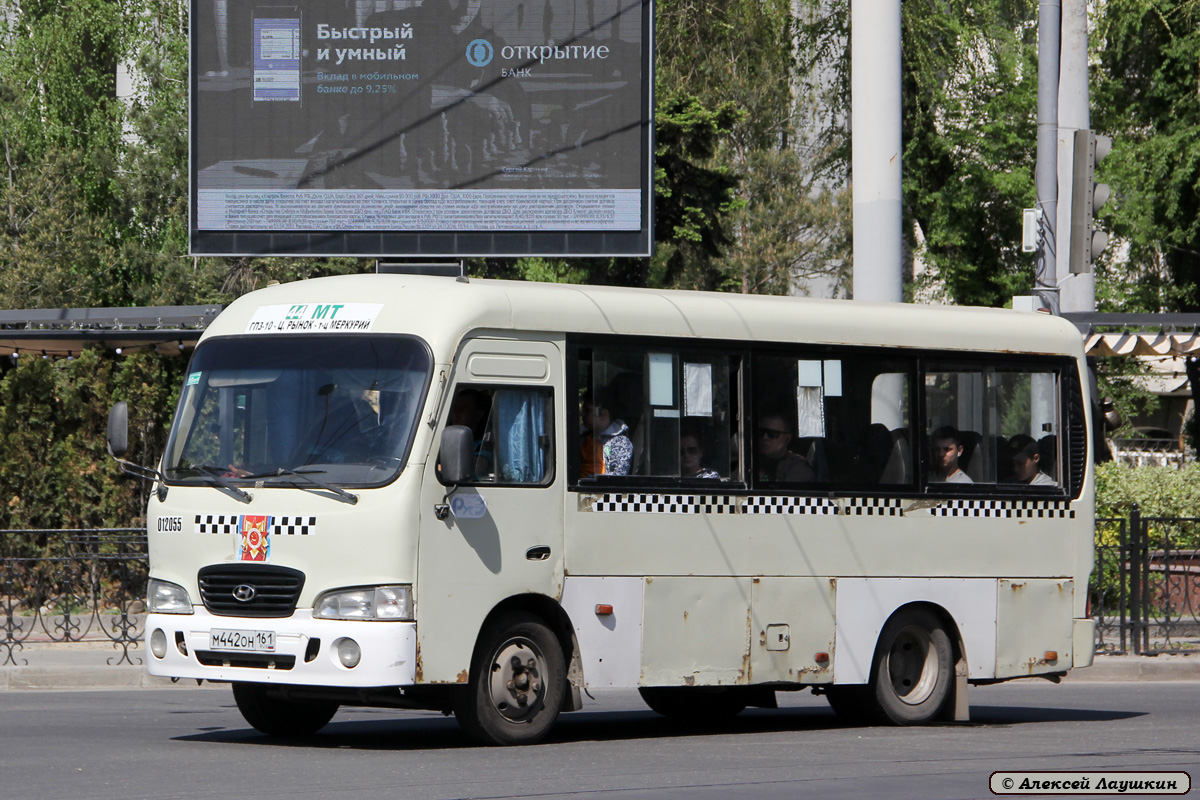 Ростовская область, Hyundai County SWB C08 (РЗГА) № 012055