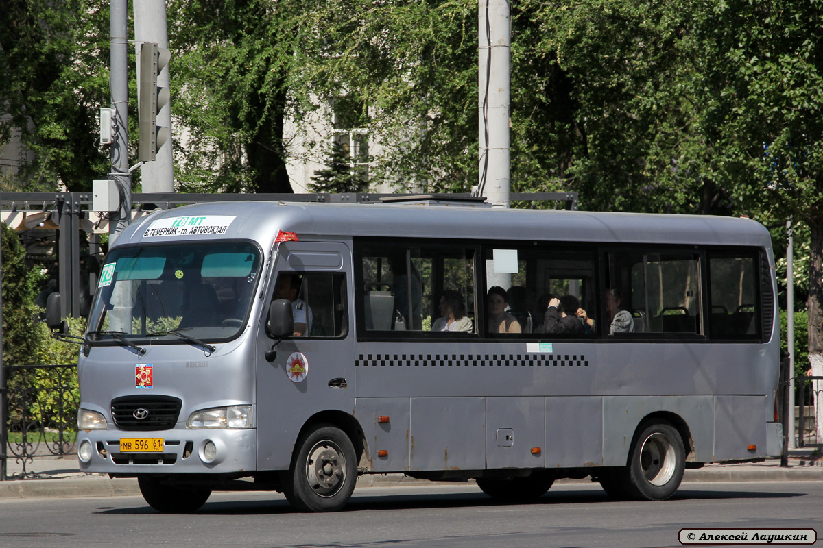 Ростовская область, Hyundai County LWB C09 (ТагАЗ) № 007296