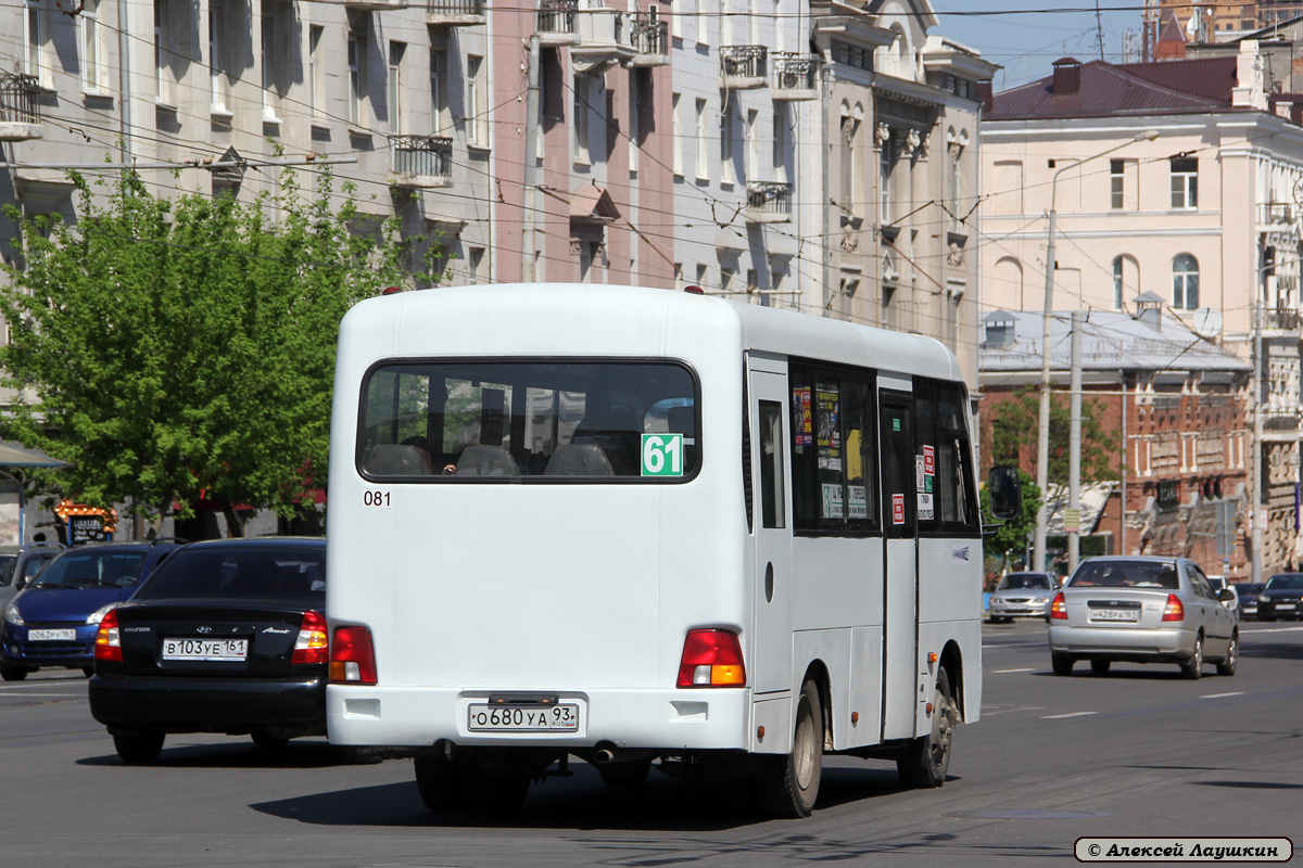 Ростовская область, Hyundai County SWB C08 (РЗГА) № 081