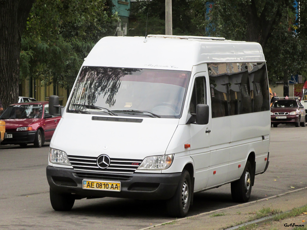 Днепропетровская область, Mercedes-Benz Sprinter W903 313CDI № AE 0810 AA