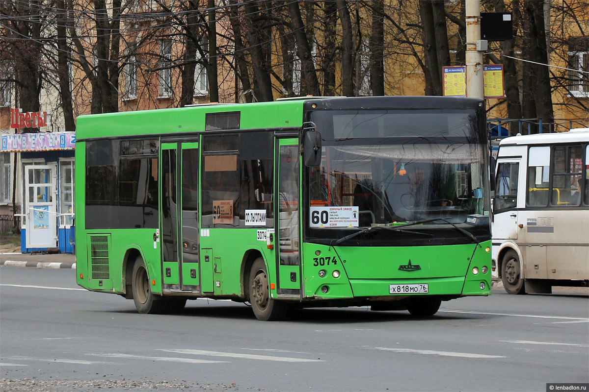 Ярославская область, МАЗ-206.067 № 3074