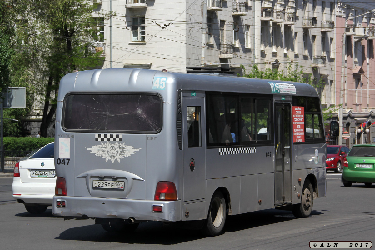 Ростовская область, Hyundai County LWB C11 (ТагАЗ) № 047