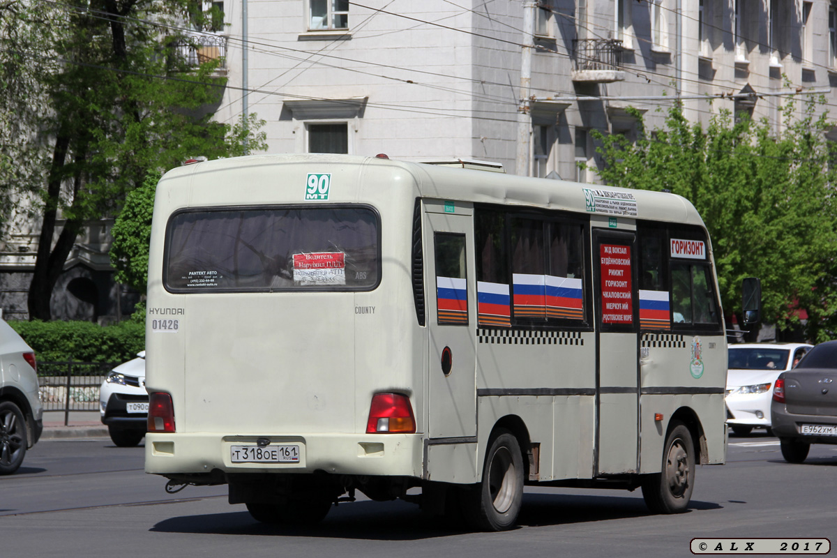 Растоўская вобласць, Hyundai County SWB C08 (РЗГА) № 01426