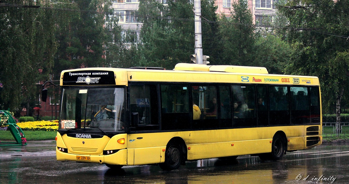 Altayskiy kray, Scania OmniLink II (Scania-St.Petersburg) # АР 239 22