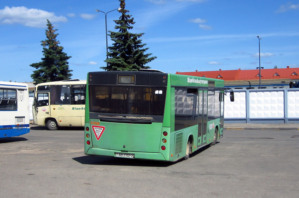 Витебская область, МАЗ-206.060 № 019585