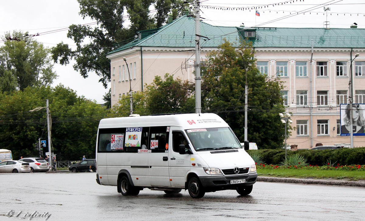 Новосибирская область, Луидор-223203 (MB Sprinter Classic) № Е 865 РА 154