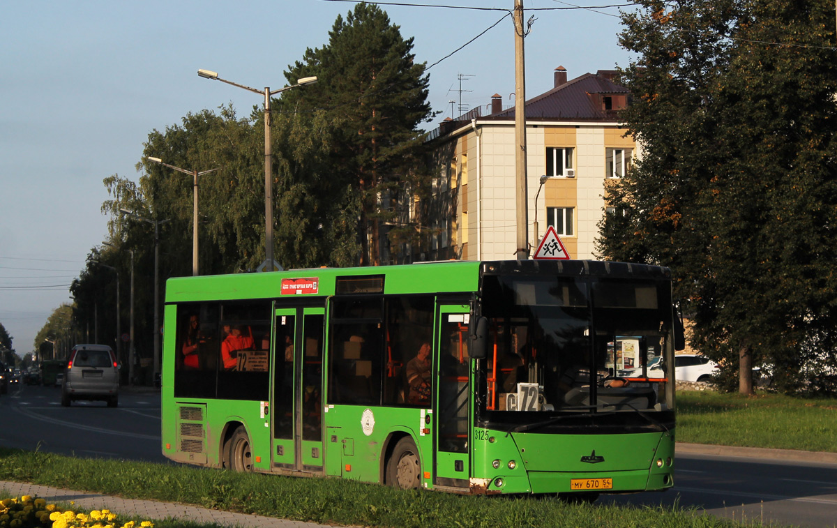 Новосибирская область, МАЗ-206.060 № 4186