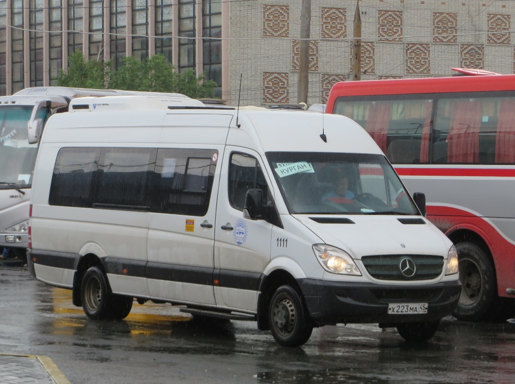 Курганская область, Луидор-223602 (MB Sprinter) № 1111