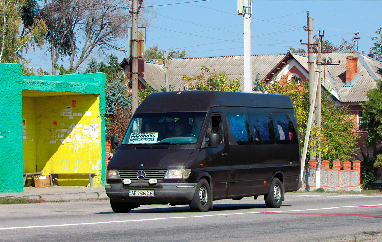 Днепропетровская область, Mercedes-Benz Sprinter W903 310D № AE 2404 AB