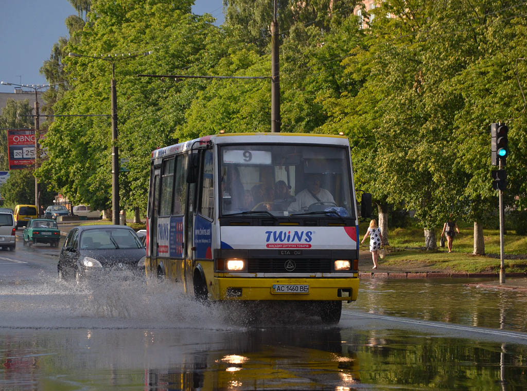 Volinskaya region, Etalon A079.32 "Prolisok" sz.: AC 1460 BE