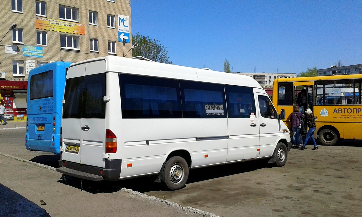 Днепропетровская область, Mercedes-Benz Sprinter W903 313CDI № AE 0810 AA