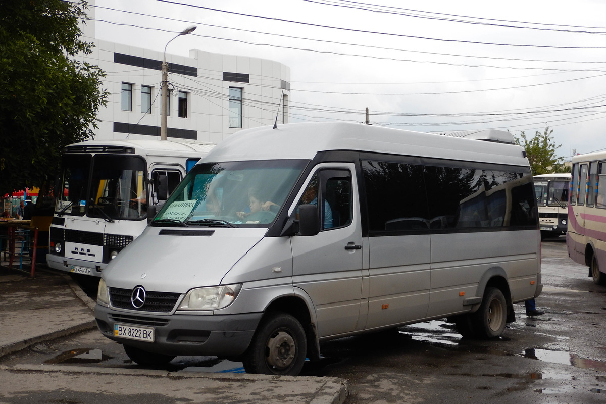 Хмельницкая область, Mercedes-Benz Sprinter W904 416CDI № BX 8222 BK