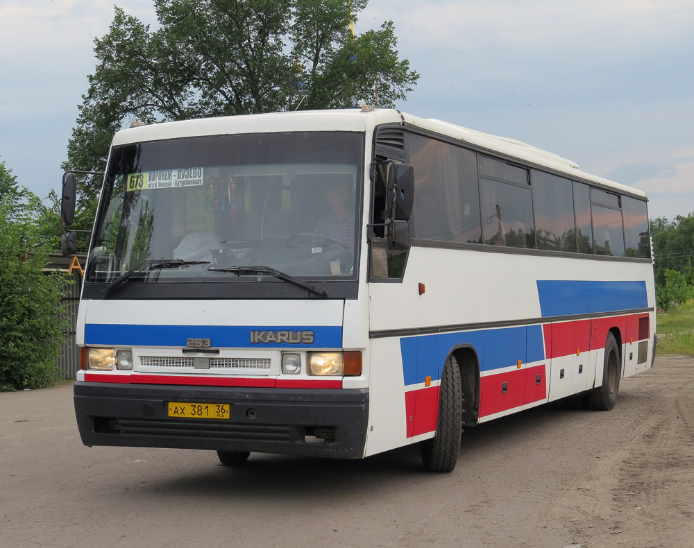 Воронежская область, Ikarus 253.52 № АХ 381 36