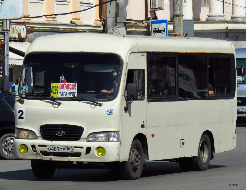 Ростовская область, Hyundai County SWB C08 (РЗГА) № 2