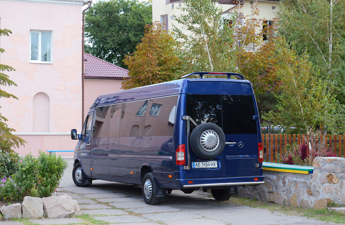 Dnepropetrovsk region, Mercedes-Benz Sprinter W903 313CDI № AE 7454 HX