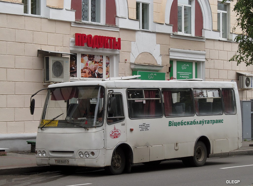 Витебская область, ГАРЗ А0921 "Радимич" № АВ 8465-2