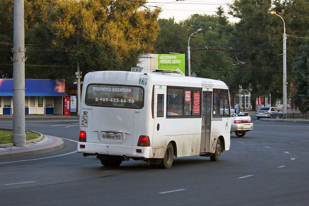 Ростовская область, Hyundai County LWB C09 (ТагАЗ) № 107