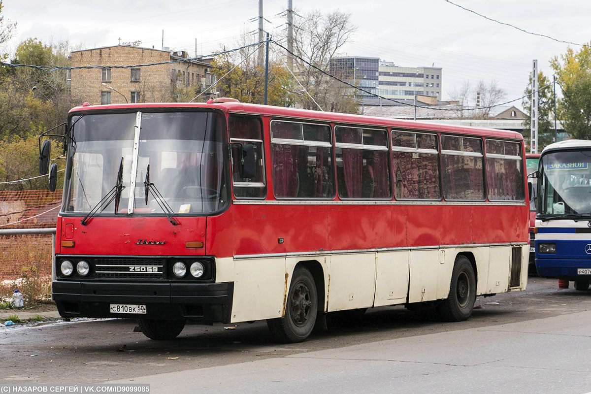 Московская область, Ikarus 256.74 № С 810 ВК 50