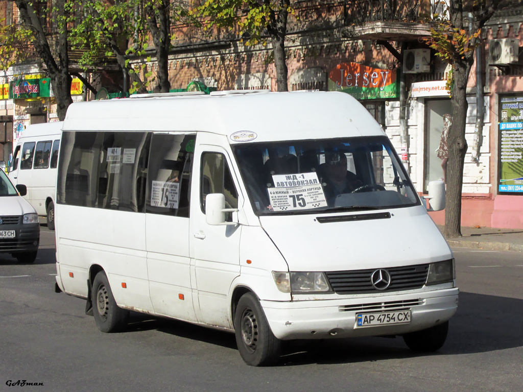 Запорожская область, Mercedes-Benz Sprinter W903 312D № AP 4754 CX