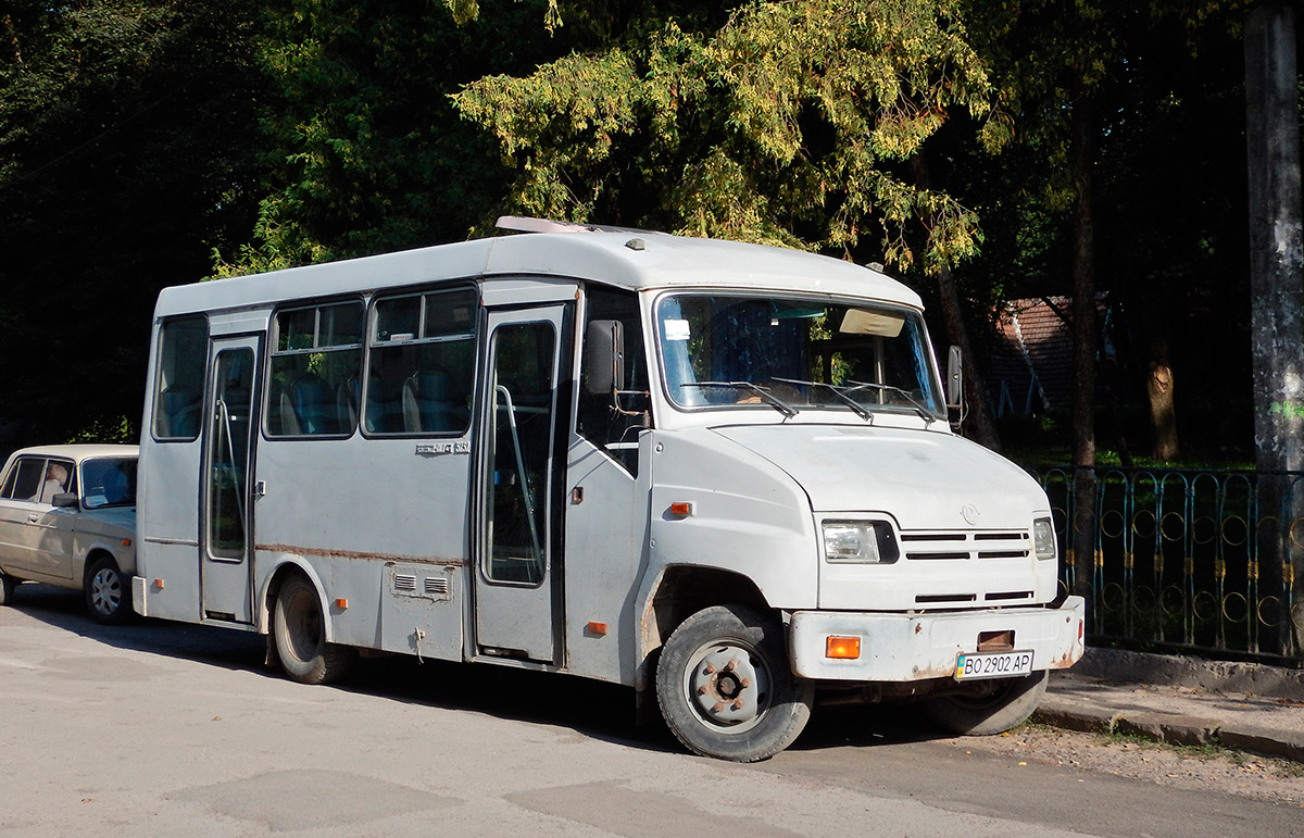 Тернопольская область, Бескид-3232 № BO 2902 AP