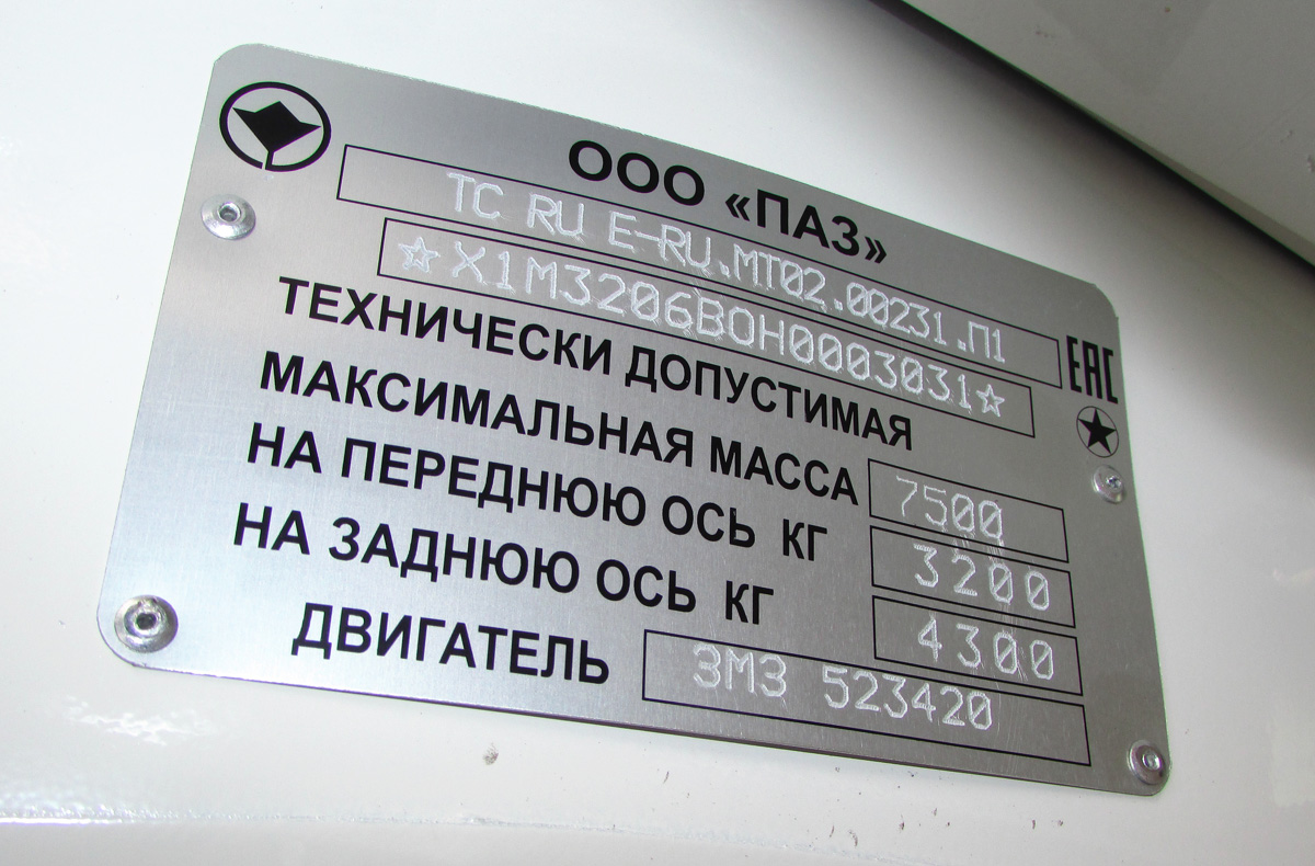 Нижегородская область, ПАЗ-3206-110 № 3206-110-3031