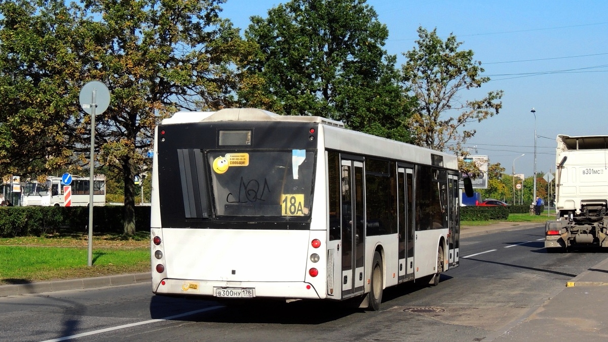 Санкт-Петербург, МАЗ-203.067 № 118