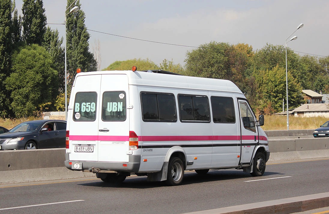 Алматинская область, Kusters № B 659 UBN
