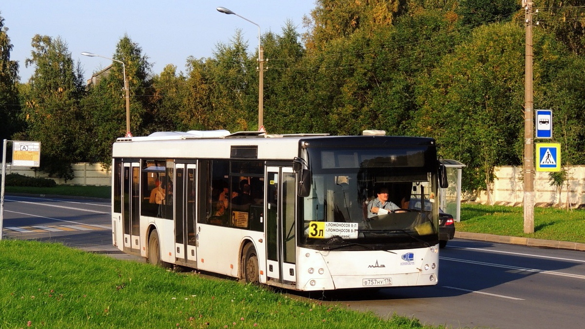 Санкт-Петербург, МАЗ-203.067 № 109