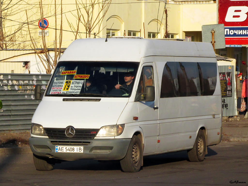 Днепропетровская область, Mercedes-Benz Sprinter W903 313CDI № AE 5408 IB