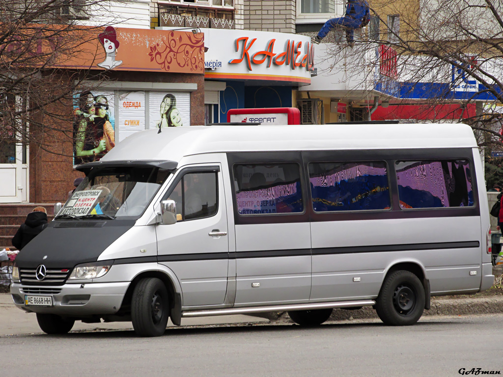 Днепропетровская область, Mercedes-Benz Sprinter W903 313CDI № AE 8668 HH