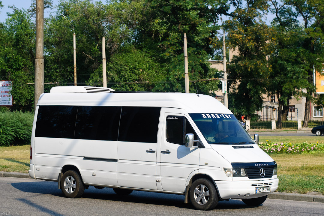 Днепропетровская область, Mercedes-Benz Sprinter W903 310D № AE 1512 HT