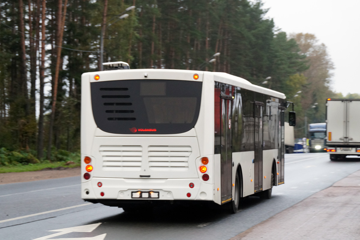 Szentpétervár, Volgabus-5270.00 sz.: 6278; Szentpétervár — New buses; Volgográdi terület — New buses of "Volgabus"