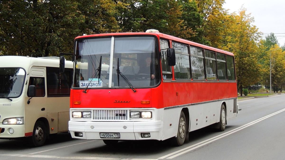 Ленинградская область, Ikarus 256.74 № У 650 ВК 178 — Фото — Автобусный  транспорт