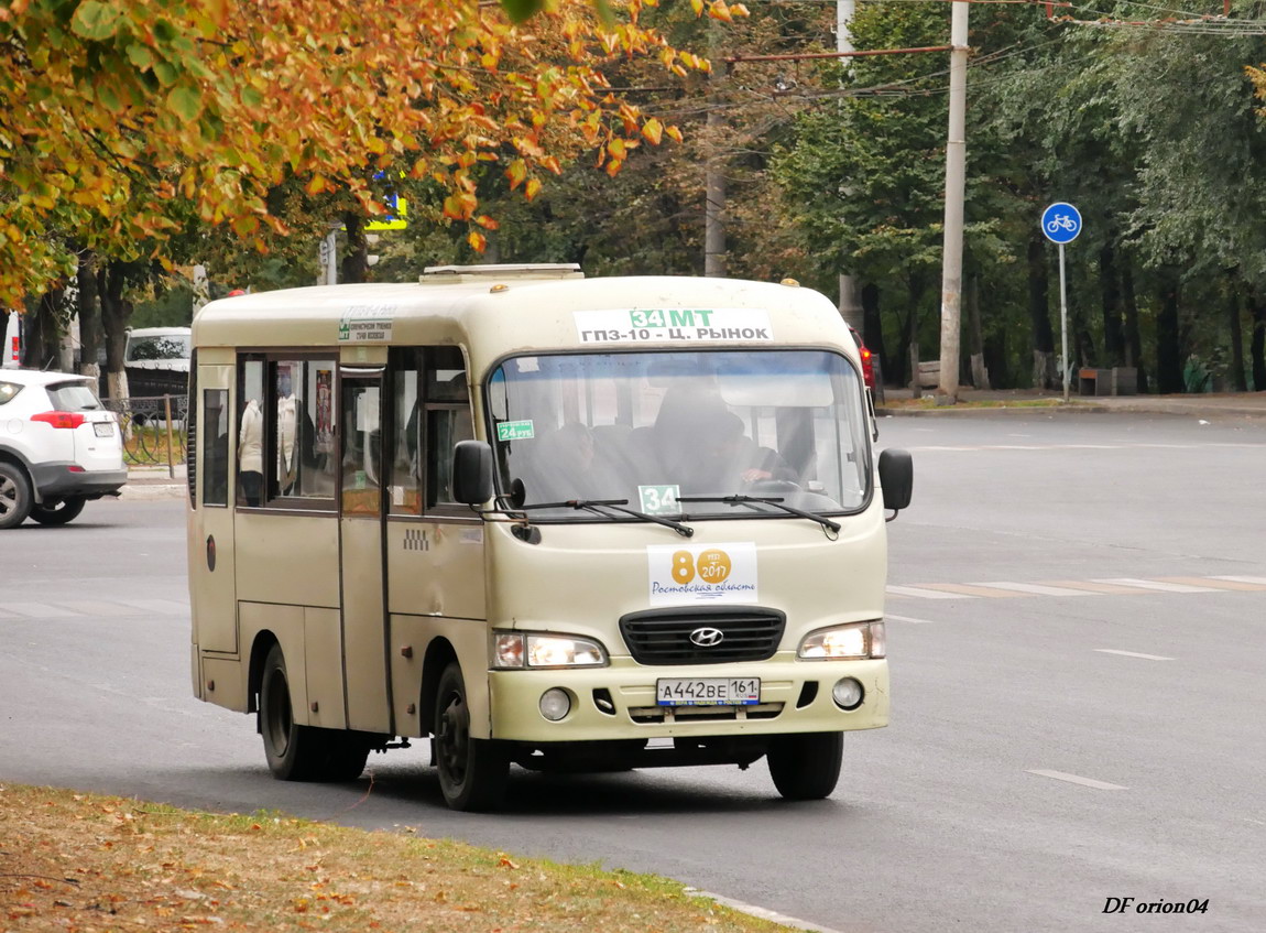 Ростовская область, Hyundai County SWB C08 (РЗГА) № А 442 ВЕ 161