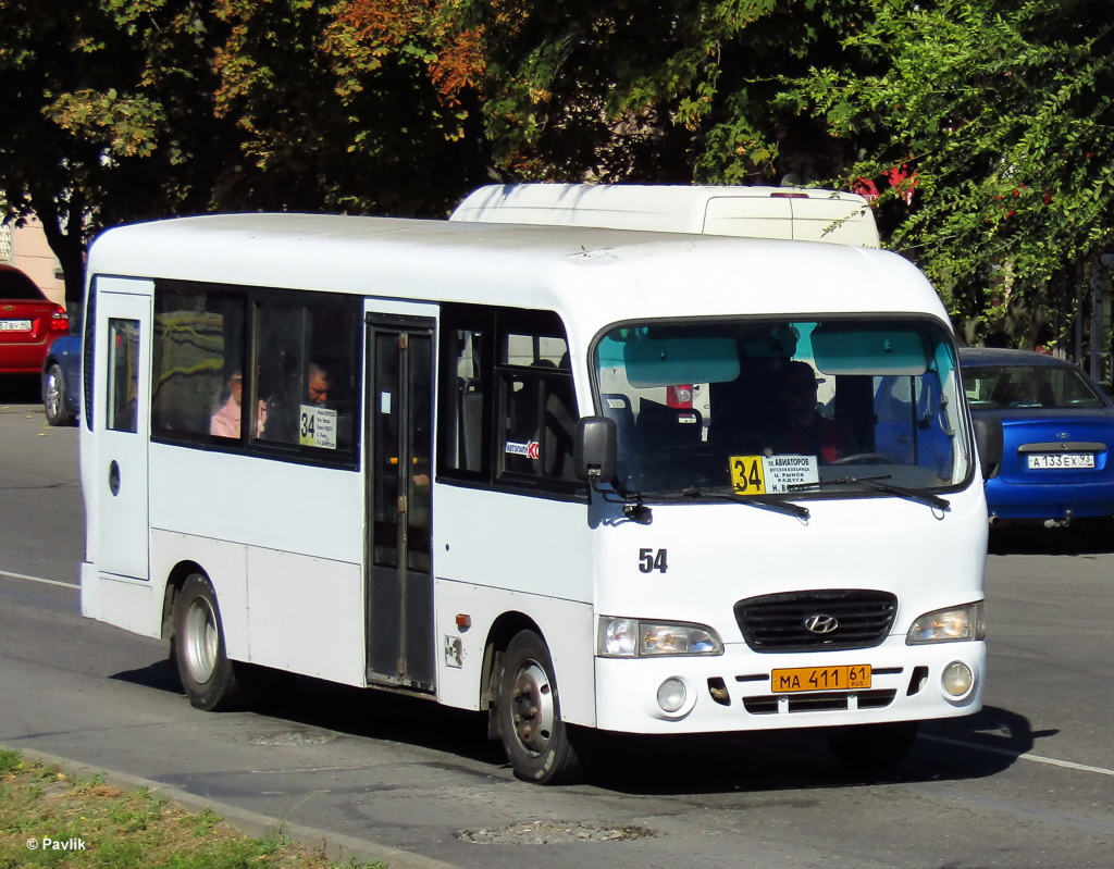 Ростовская область, Hyundai County LWB C09 (ТагАЗ) № 54