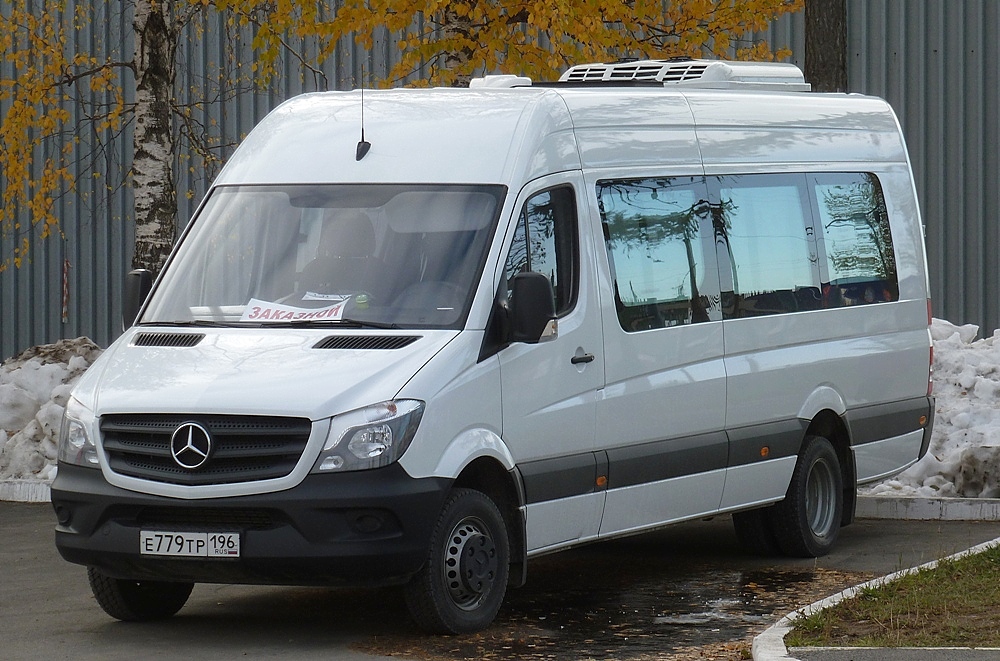 Свердловская область, Луидор-223602 (MB Sprinter) № Е 779 ТР 196