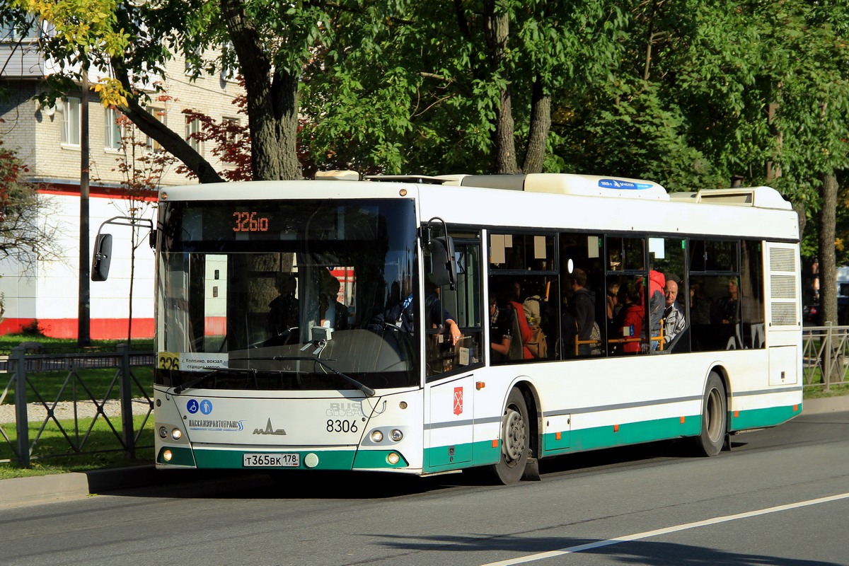 Sankt Petersburg, MAZ-203.085 Nr 8306