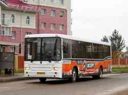 251 КБ