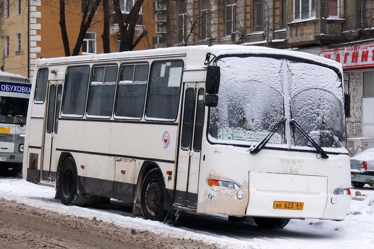 Ростовская область, ПАЗ-4230-03 № 56