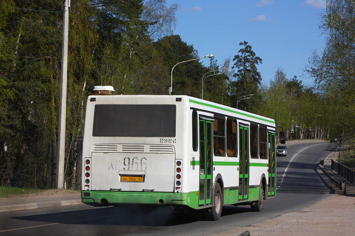 Ленинградская область, ЛиАЗ-5256.36 № 966